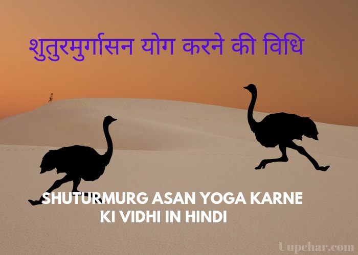 शुतुरमुर्गासन योग करने की विधि – Shuturmurg Asan yoga karne ki Vidhi in Hind